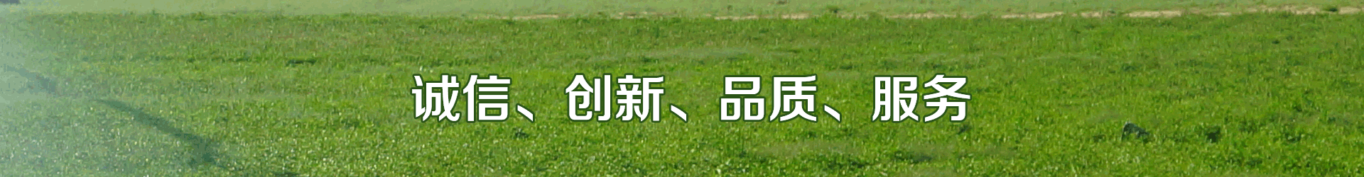 91视频网站地址系统