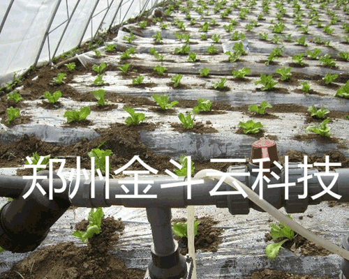 91视频网站地址系统