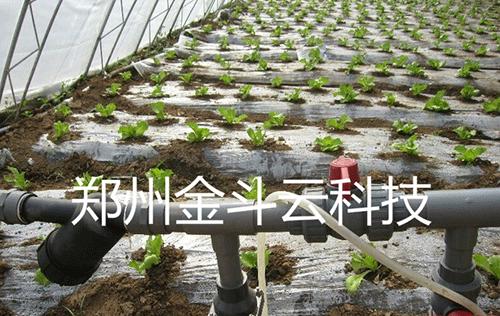 农业91视频网站地址