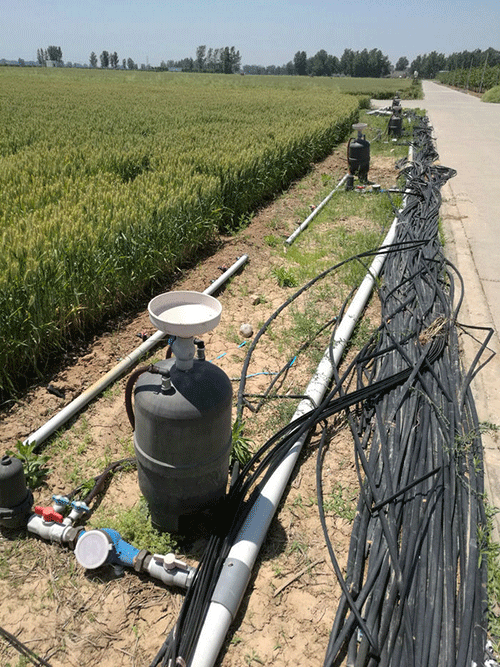 农业91视频网站地址