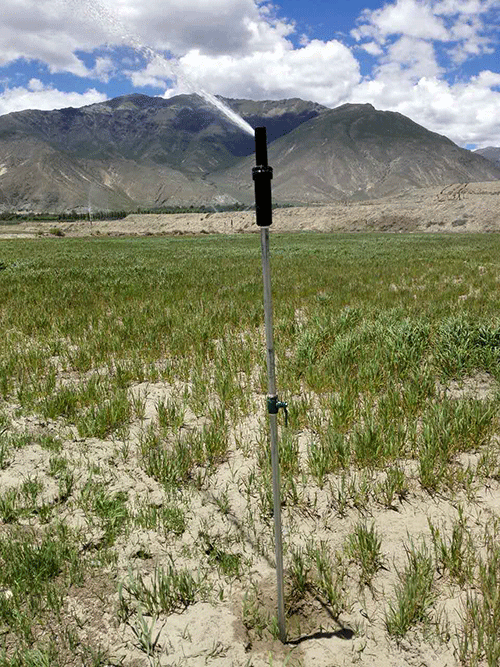 91视频网站地址系统 91视频网站地址系统