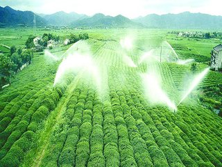 农业91视频网站地址