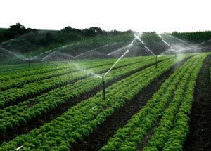 节水91视频网站地址