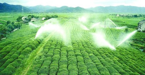 91视频网站地址系统厂家