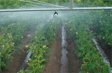 节水91视频网站地址厂家