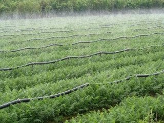 农业91视频网站地址