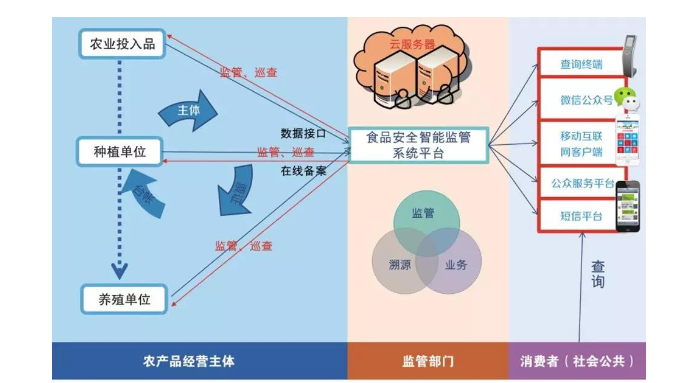 农业91视频网站地址