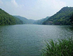 91视频网站地址